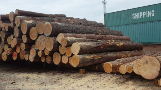 lumber-logs-shipping